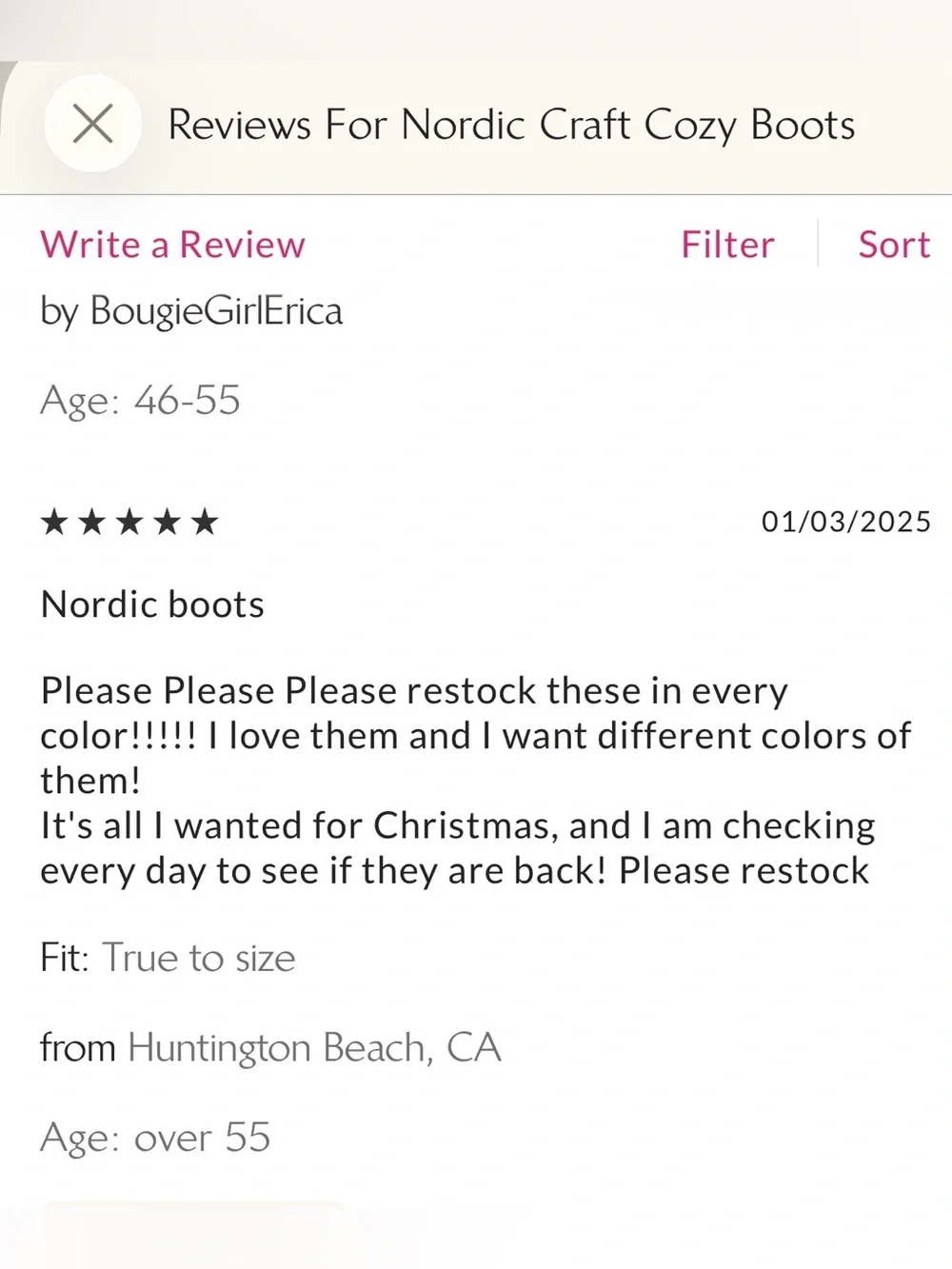 Free People Nordic Craft Cozy Boots
